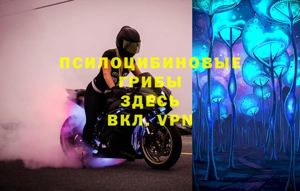 метадон Алзамай