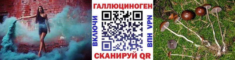 Галлюциногенные грибы мицелий  Купить где  Карабулак 